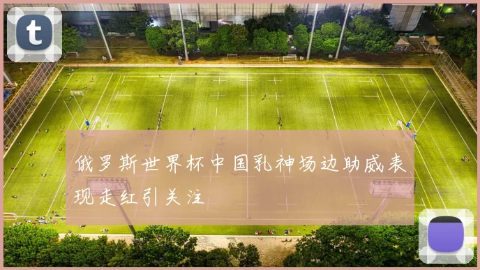 俄罗斯世界杯中国乳神场边助威表现走红引关注