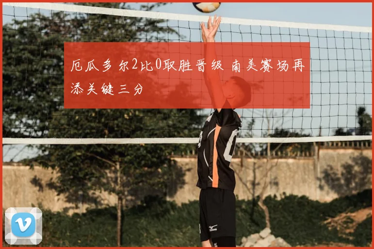厄瓜多尔2比0取胜晋级 南美赛场再添关键三分