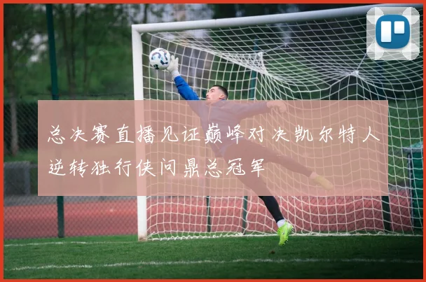 总决赛直播见证巅峰对决凯尔特人逆转独行侠问鼎总冠军
