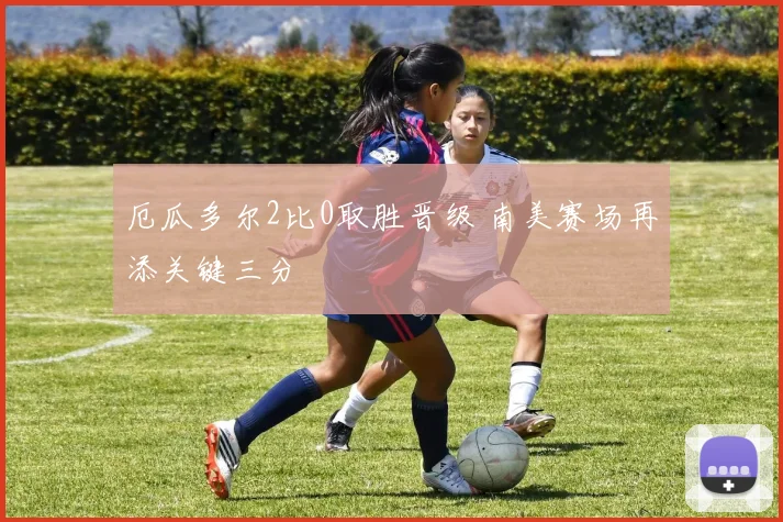 厄瓜多尔2比0取胜晋级 南美赛场再添关键三分
