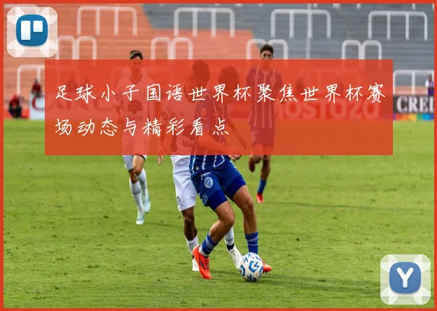 足球小子国语世界杯聚焦世界杯赛场动态与精彩看点