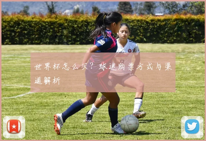 世界杯怎么买？球迷购票方式与渠道解析